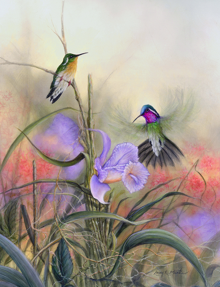 Mtn Gems - hummingbirds by Larry K. Martin